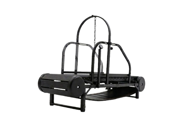 XL Paws Treadmill
