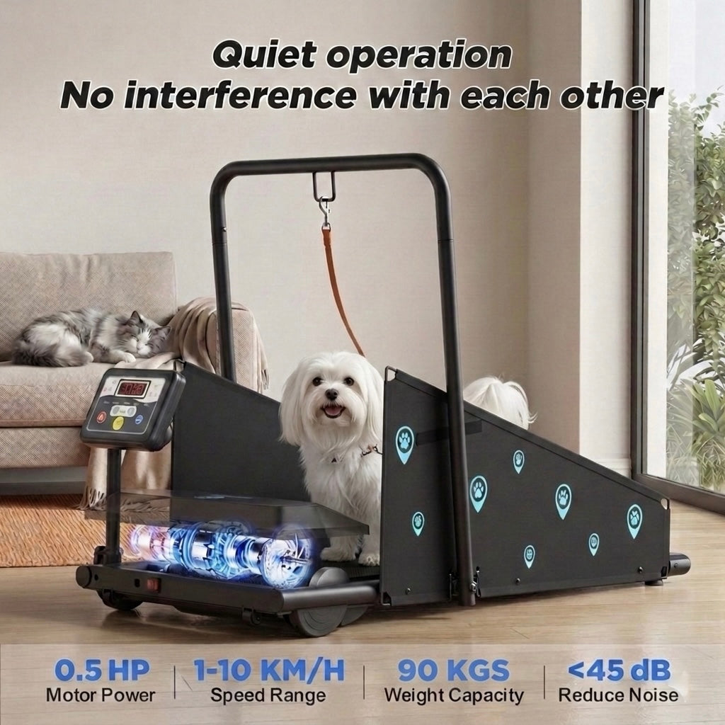 Small to medium size paws Treadmill