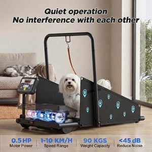 Small to medium size paws Treadmill