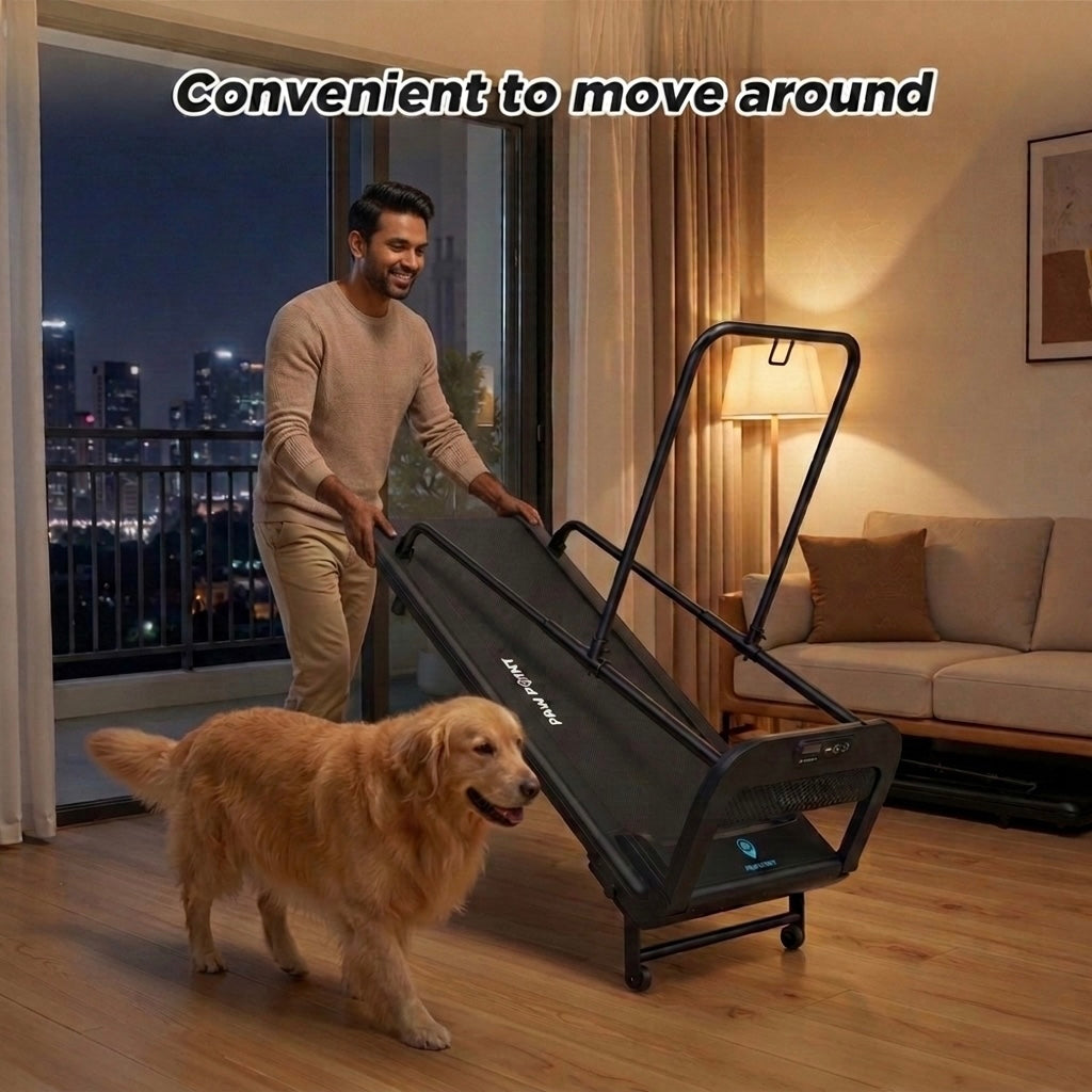 Medium to Large Size Paws Treadmill