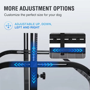 XL Paws Treadmill