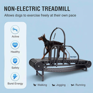 XL Paws Treadmill