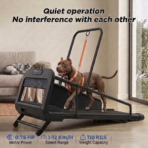 Medium to Large Size Paws Treadmill