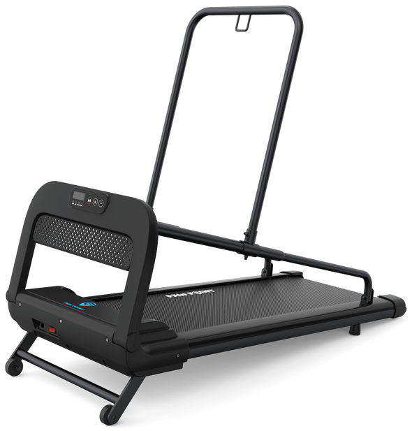 Medium to Large Size Paws Treadmill