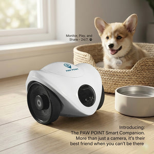 Pet Feeder Camera