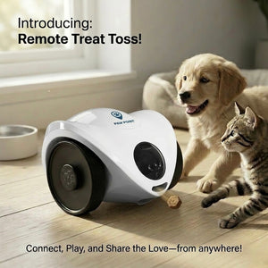 Pet Feeder Camera