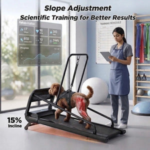 Medium to Large Size Paws Treadmill