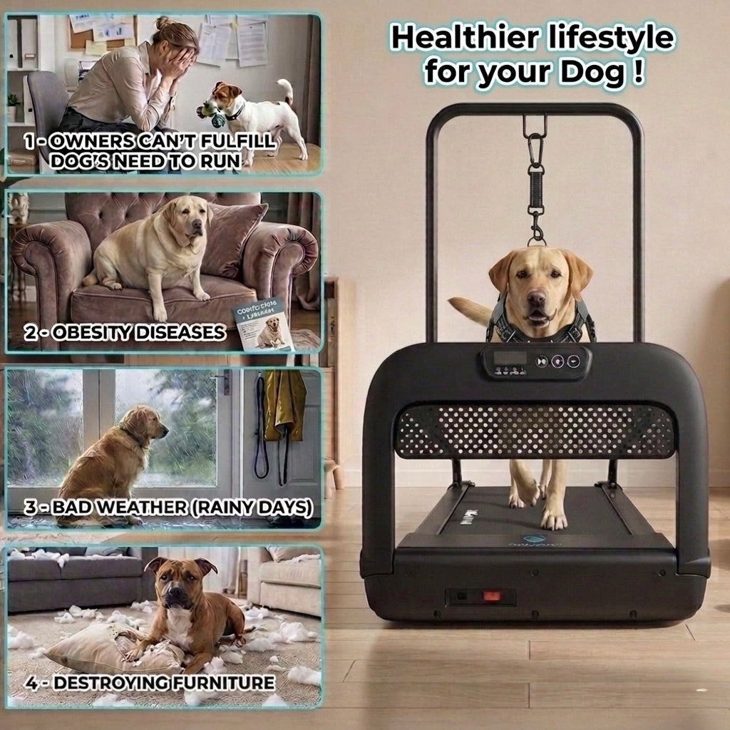 Medium to Large Size Paws Treadmill