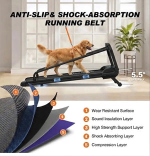 Medium to Large Size Paws Treadmill