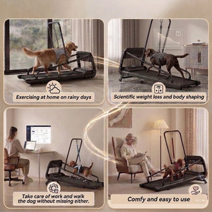 Medium to Large Size Paws Treadmill