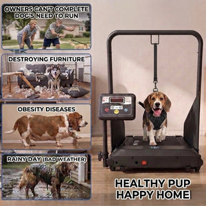 Small to medium size paws Treadmill