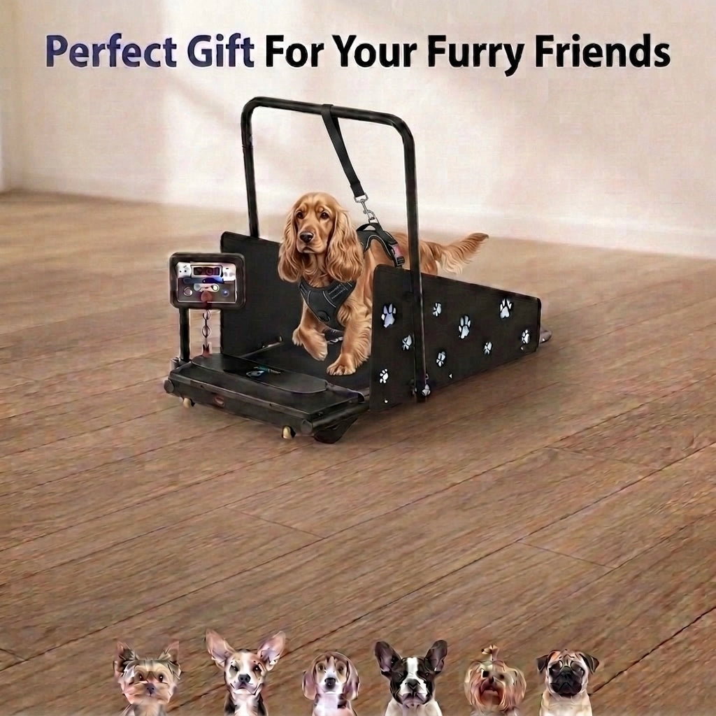 Small to medium size paws Treadmill