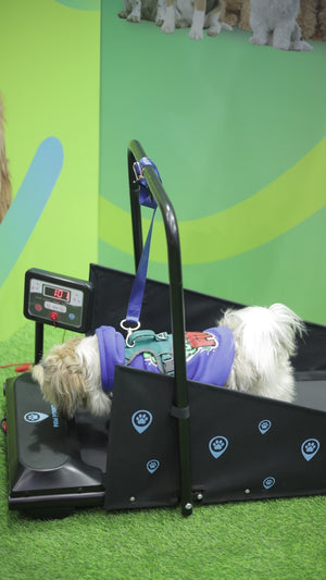 Small to medium size paws Treadmill