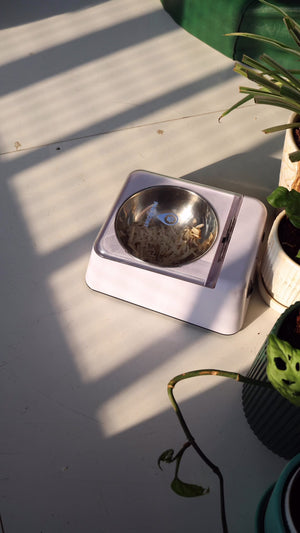 Sensor Activated Lid Bowl Dispenser