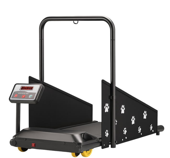 Dog Treadmill